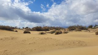 2023-GC--Mapalomas dunas-S123-052.jpg